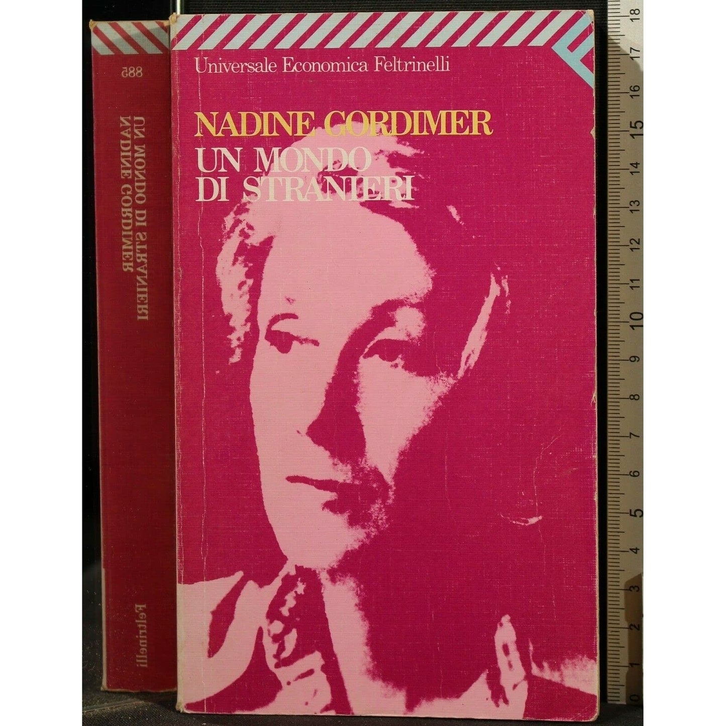 Libro - Un mondo di stranieri - Gordimer, Nadine