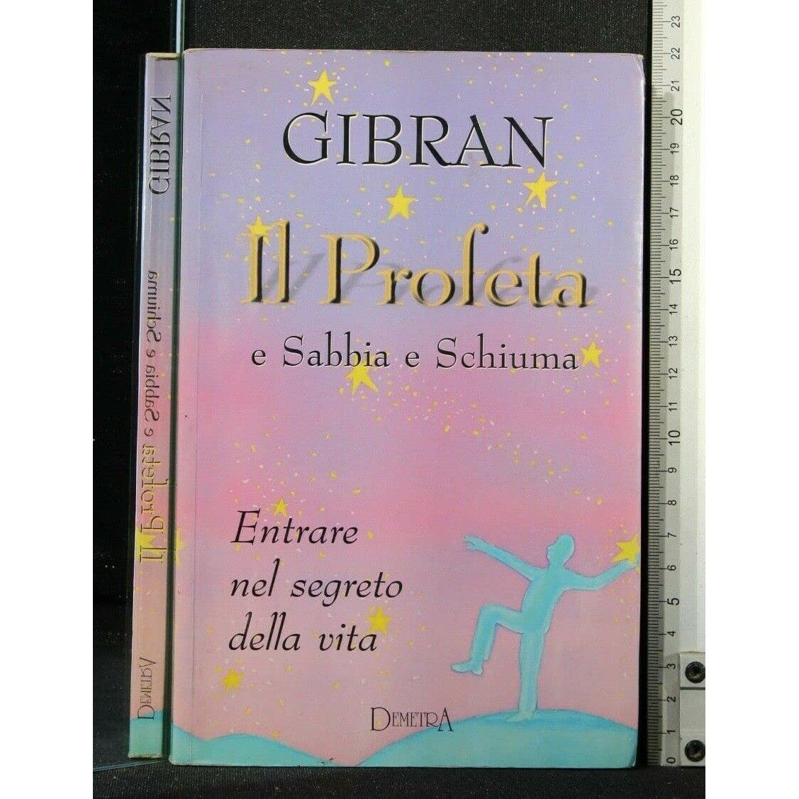 Libro - Il profeta-e Sabbia e schiuma - Gibran, Kahlil