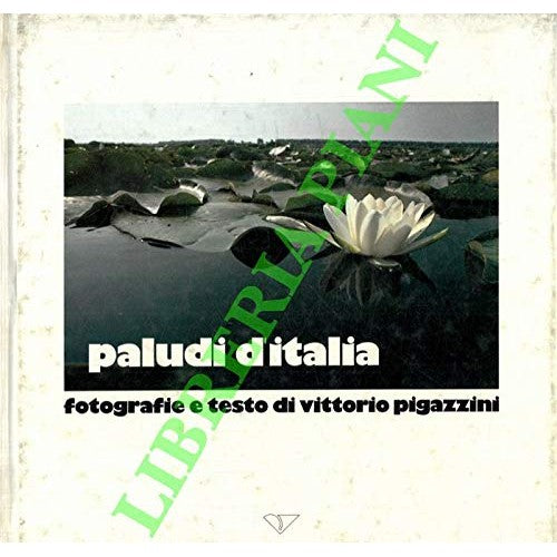 Libro - IN CHARTIS FABRIANO - RICCI N., TEODOSI L.