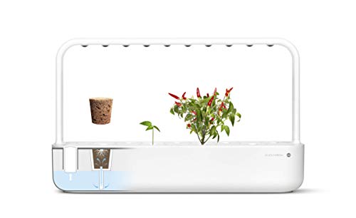 Emsa Click & Grow - Kit per Creare Un Mini Giardino in casa, Bianco, 62,5 x 21,5