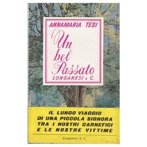 Book - A beautiful past - Annamaria Tesi