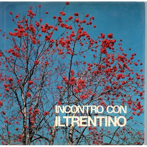 Libro - Incontro con il Trentino - Scrinzi, Gino