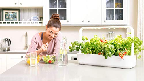 Emsa Click & Grow - Kit per Creare Un Mini Giardino in casa, Bianco, 62,5 x 21,5