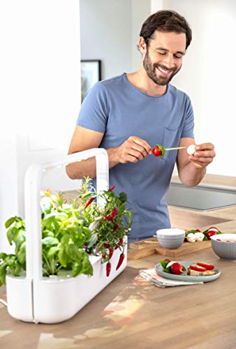 Emsa Click & Grow - Kit per Creare Un Mini Giardino in casa, Bianco, 62,5 x 21,5