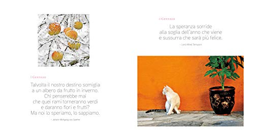 Libro - 365 giorni di immagini e pensieri per lo spirito. Ediz. a colori - Pellizzari, Paolo