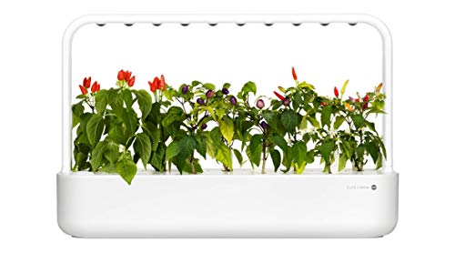 Emsa Click & Grow - Kit per Creare Un Mini Giardino in casa, Bianco, 62,5 x 21,5