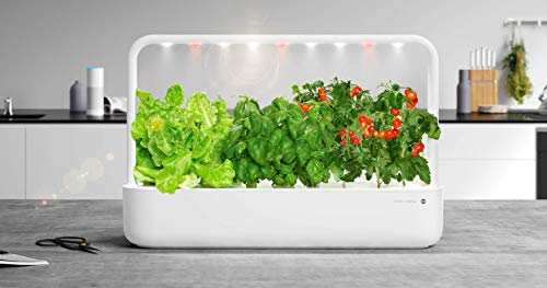 Emsa Click & Grow - Kit per Creare Un Mini Giardino in casa, Bianco, 62,5 x 21,5