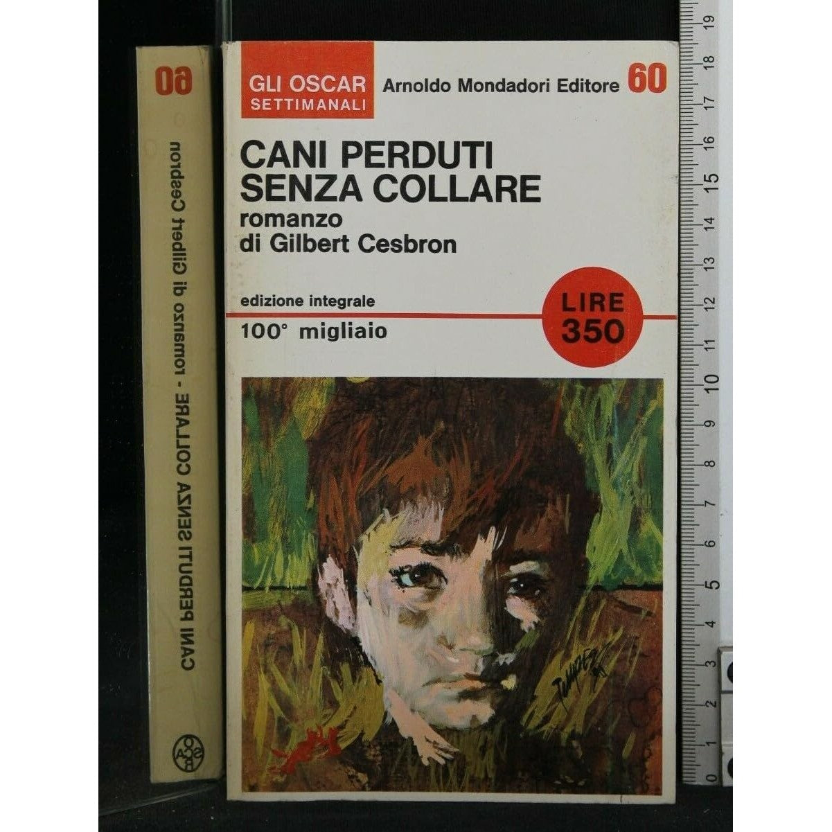 Libro - CANI PERDUTI SENZA COLLARE