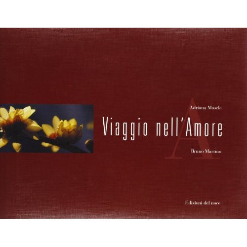 Libro - Viaggio nell'amore - Martino, Bruno