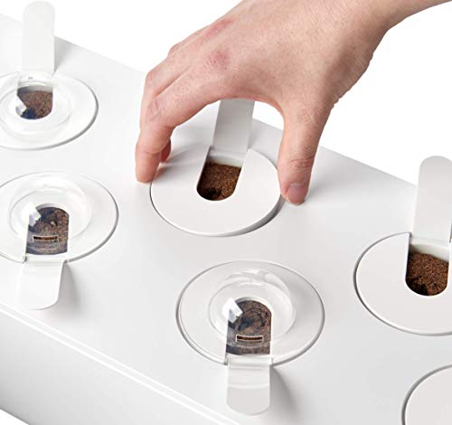 Emsa Click & Grow - Kit per Creare Un Mini Giardino in casa, Bianco, 62,5 x 21,5