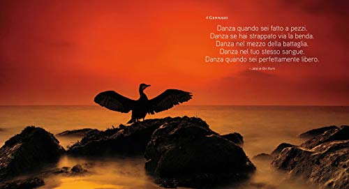 Libro - 365 giorni di immagini e pensieri per lo spirito. Ediz. a colori - Pellizzari, Paolo