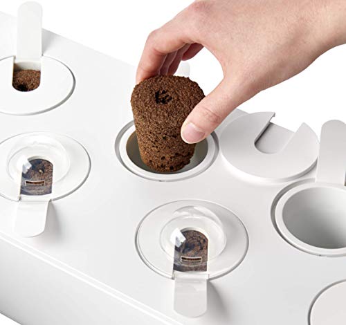 Emsa Click & Grow - Kit per Creare Un Mini Giardino in casa, Bianco, 62,5 x 21,5