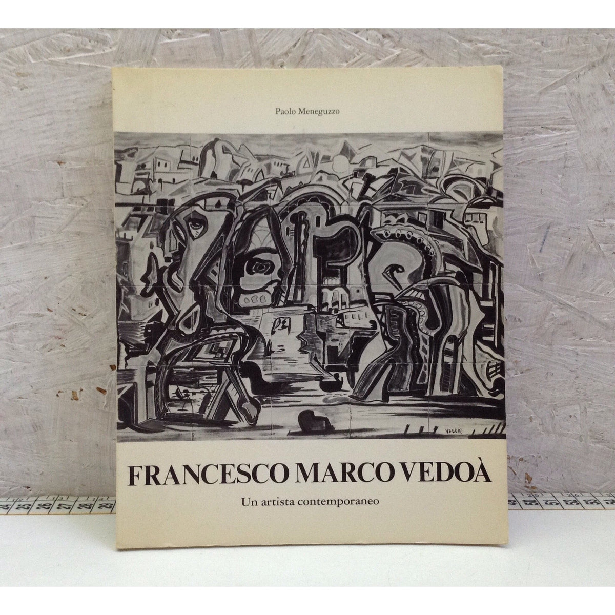 Libro - Francesco Marco Vedoà Un artista contemporaneo - Meneguzzo 1