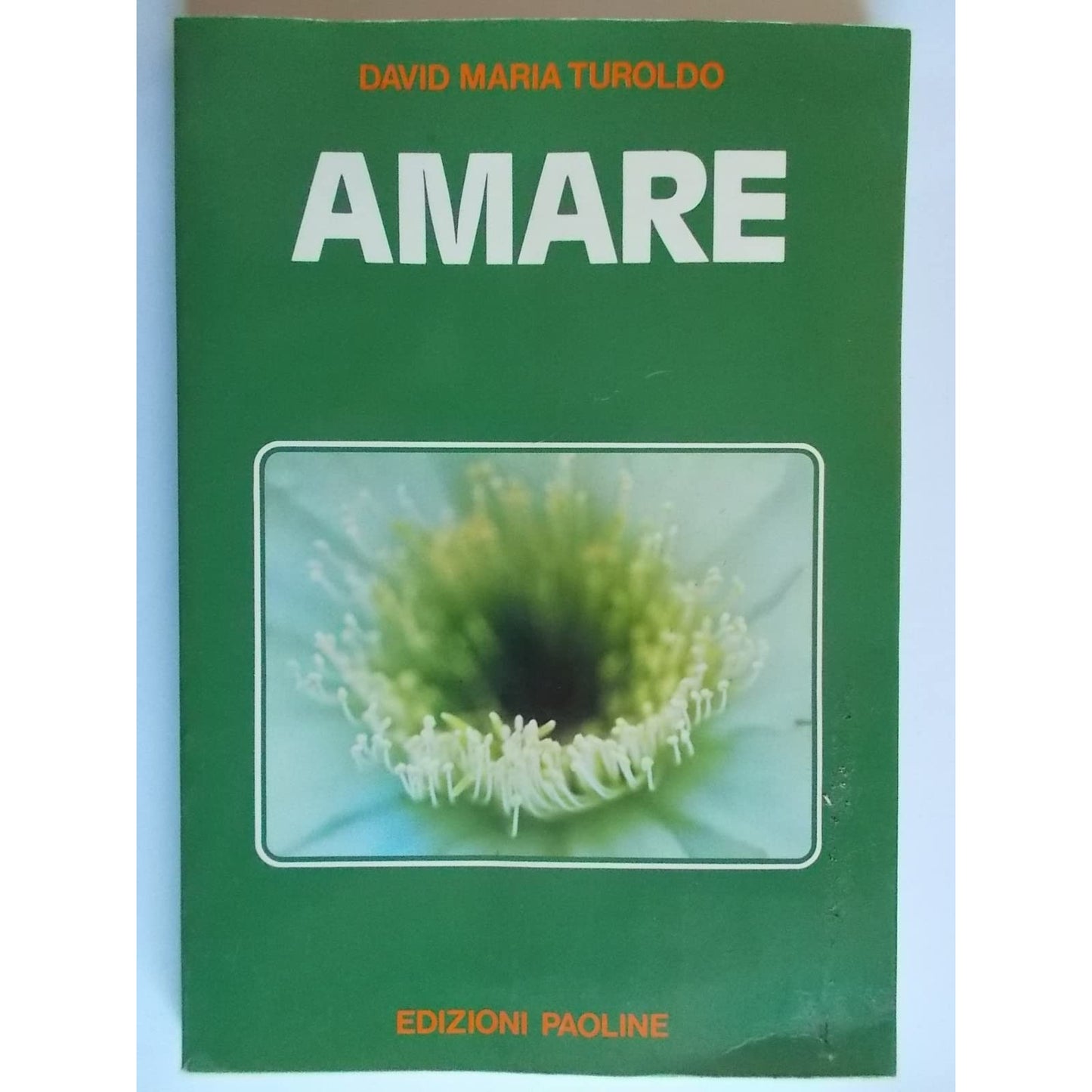 Libro - Amare - Turoldo, David Maria