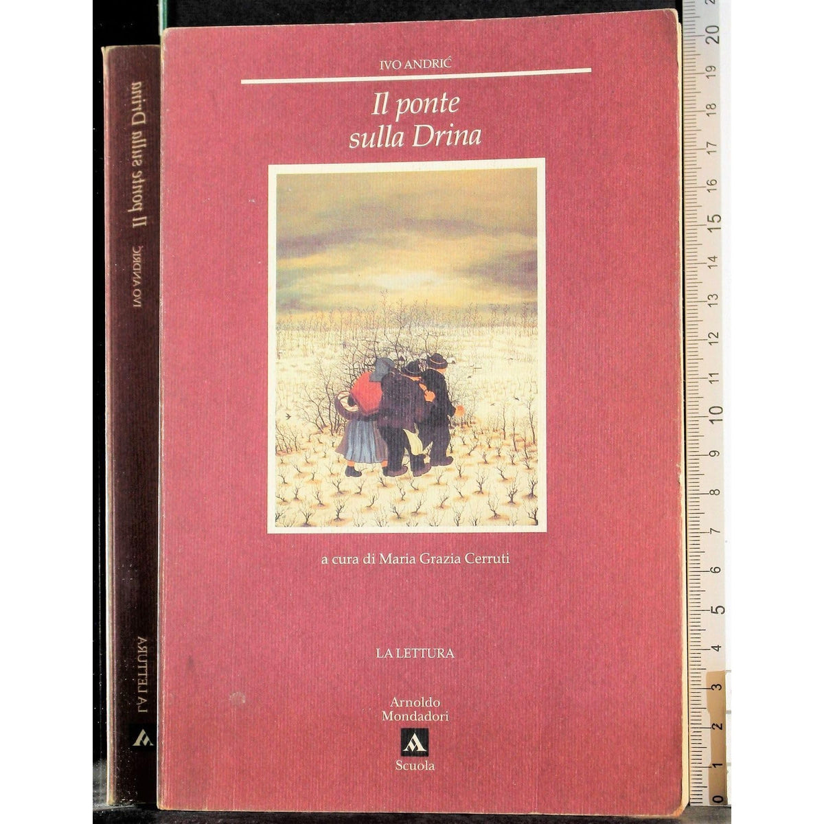 Libro - Il ponte sulla Drina