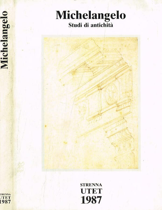 Libro - Michelangelo Studi d - Giovanni Agosto, Vincenzo Farinella, a cura di