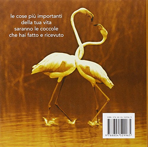 Libro - Coccoliamoci. Ediz. illustrata - Greive, Bradley T.