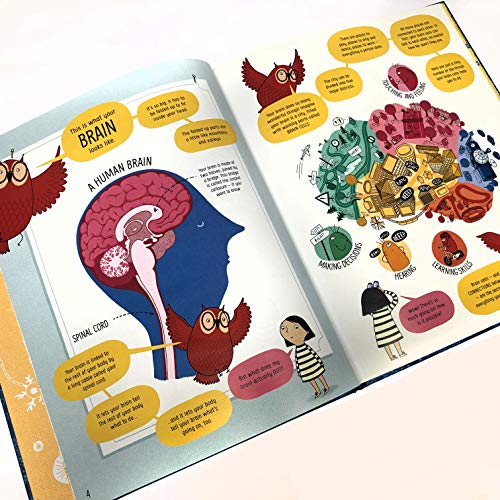 Libro - The Usborne Book of the Brain and How It Works: 1