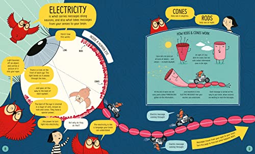 Libro - The Usborne Book of the Brain and How It Works: 1