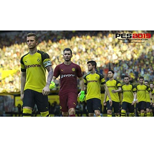 Pro Evolution Soccer 2019 - PlayStation 4 [Edizione: Regno Unito]