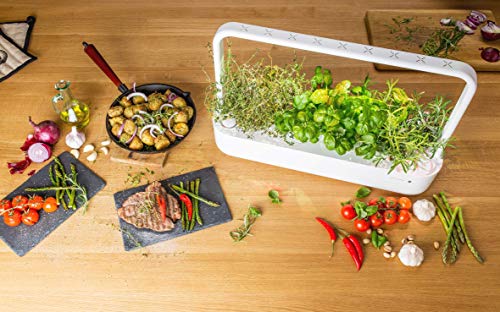 Emsa Click & Grow - Kit per Creare Un Mini Giardino in casa, Bianco, 62,5 x 21,5
