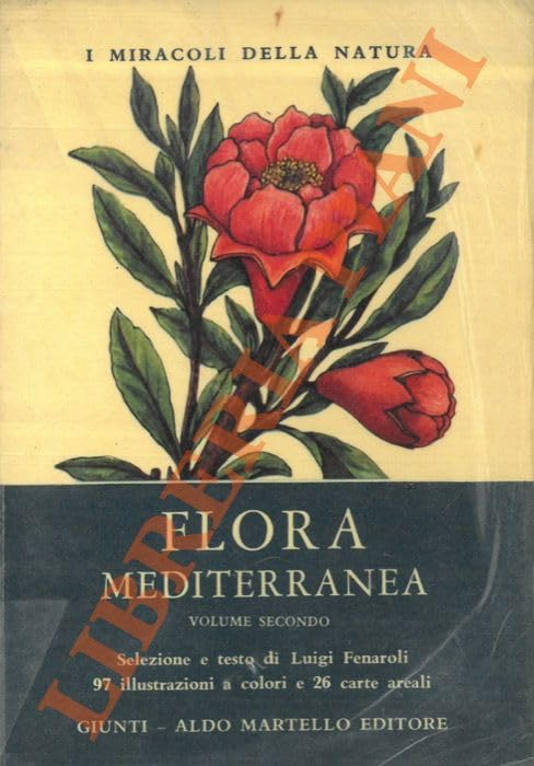 Libro - Flora mediterranea - FENAROLI, Luigi