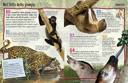 Libro - Meravigliosi animali. Conoscimondo - Kelly, Miles