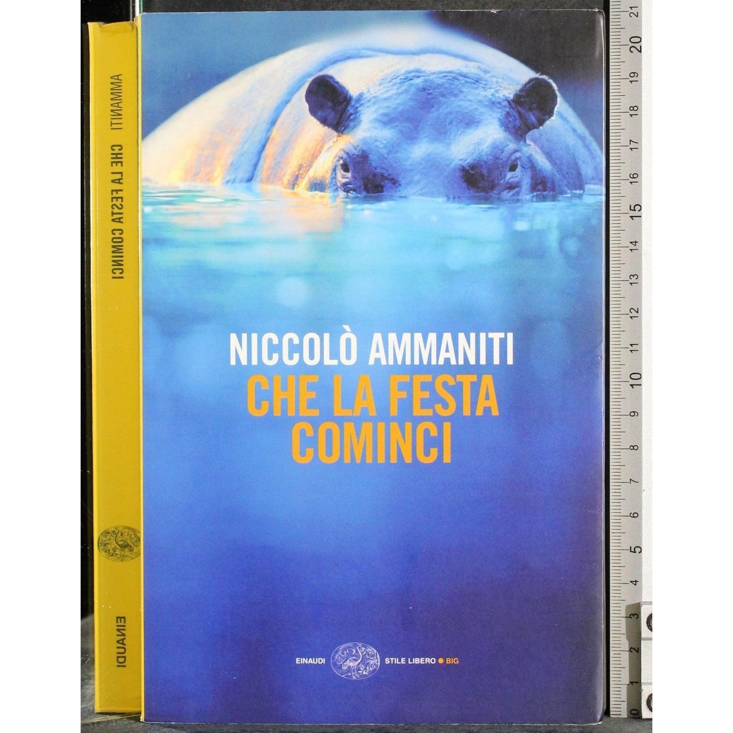 Libro - Che la festa cominci - Ammaniti, Niccolò