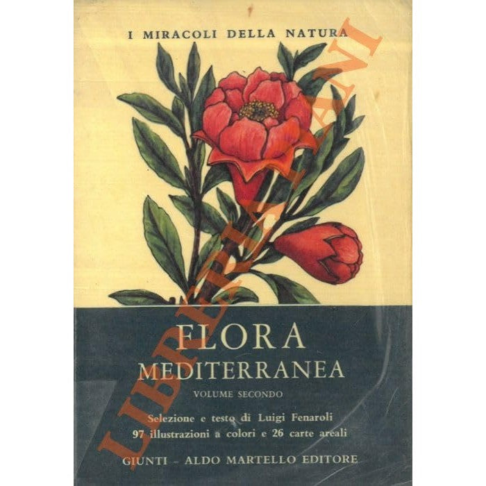 Libro - Flora mediterranea - FENAROLI, Luigi