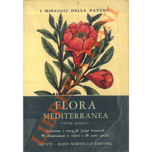 Libro - Flora mediterranea - FENAROLI, Luigi
