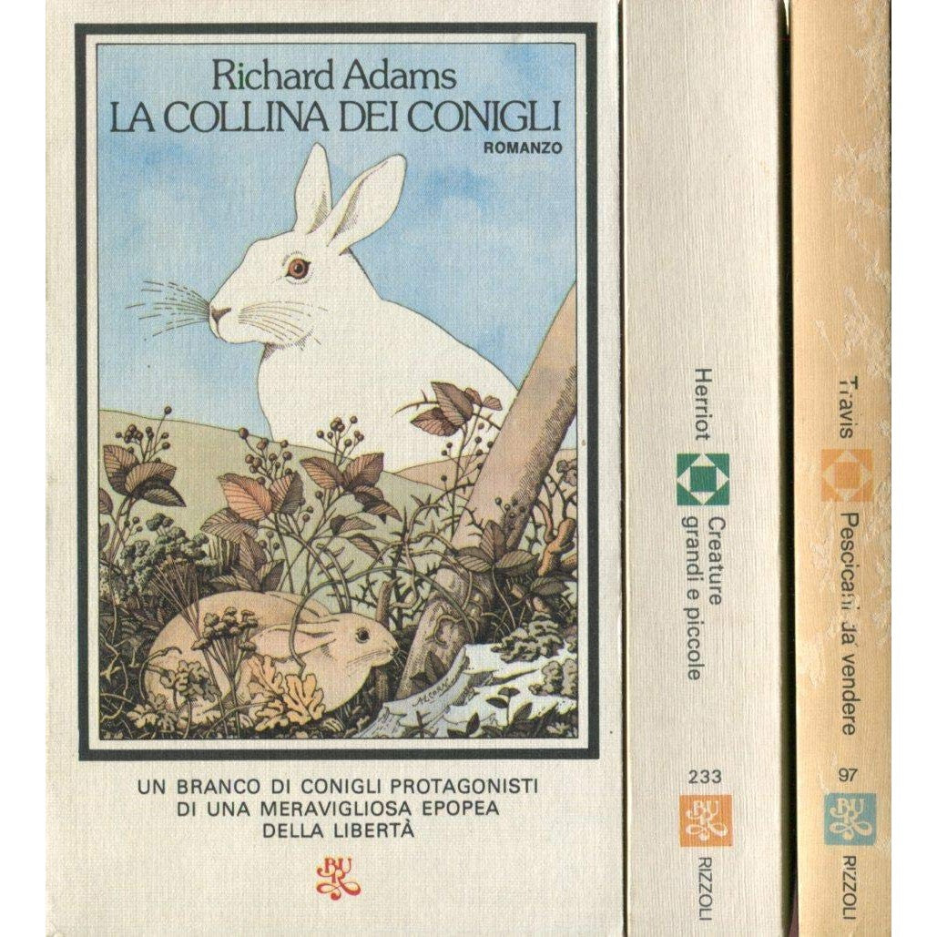 Libro - La collina dei conigli Richard Adams Rizzoli V ed 1979