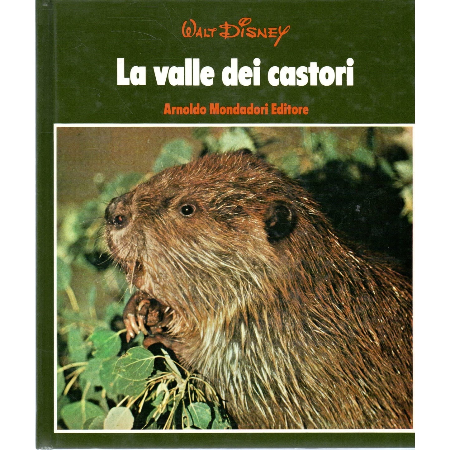 Libro - La valle dei castori Walt Disney Mondadori 1975