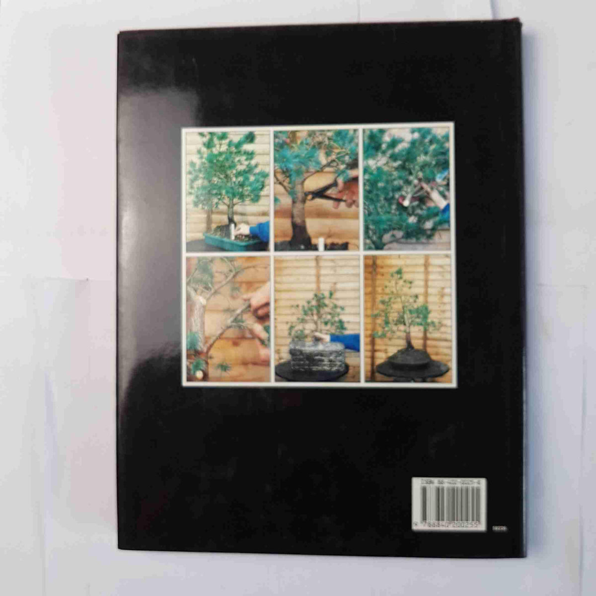 Il grande libro del bonsai