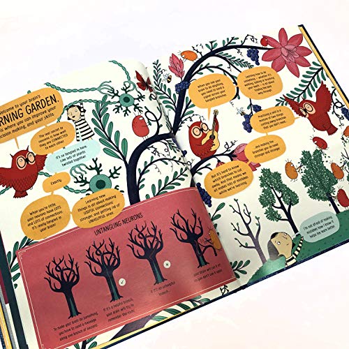 Libro - The Usborne Book of the Brain and How It Works: 1
