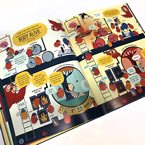 Libro - The Usborne Book of the Brain and How It Works: 1