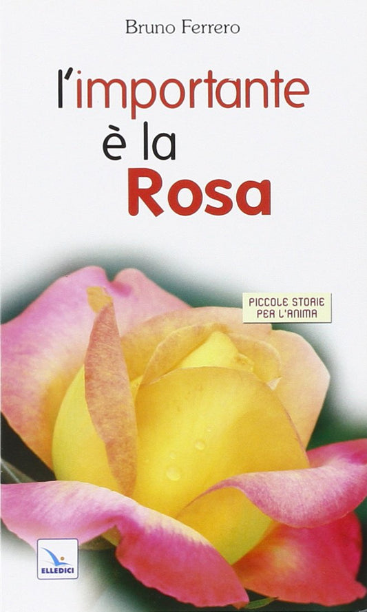 Libro - L'importante è la rosa - Ferrero, Bruno