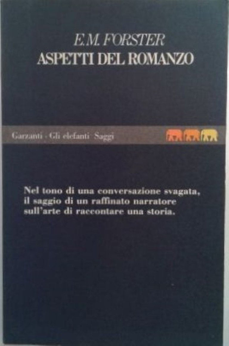 Aspetti del romanzo
