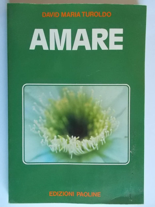 Libro - Amare - Turoldo, David Maria