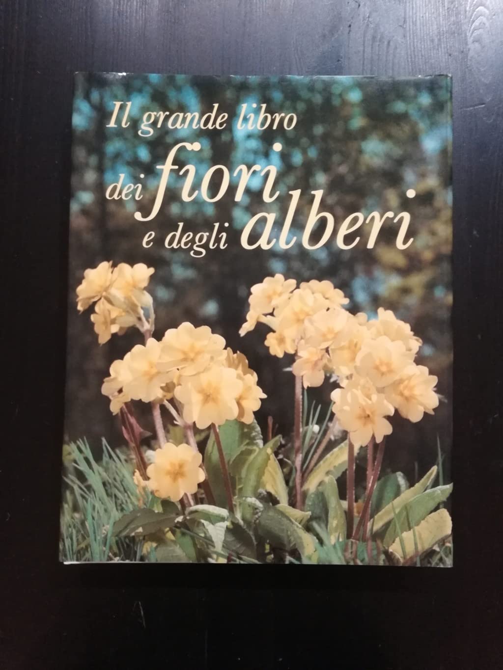 Libro - Il grande libro dei fiori e degli alberi. - BARNABE' BOSISIO Gina -