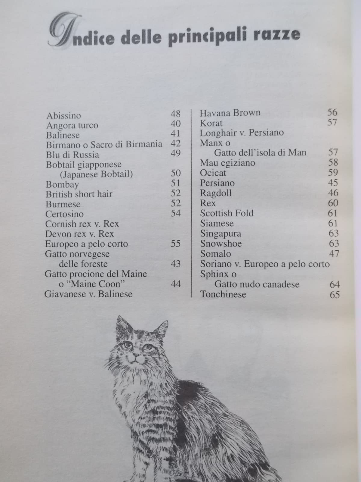 Il gatto. Come conoscerlo, curarlo, allevarlo