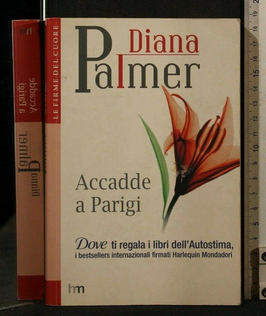 Libro - Accadde a Parigi - Palmer Diana
