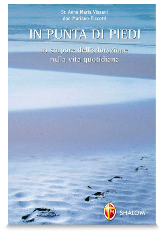 Libro - In punta di piedi Lo stupore dell'ador - Vissani, Anna Maria