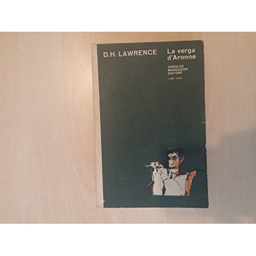 Book - Aaron's Rod - DH Lawrence