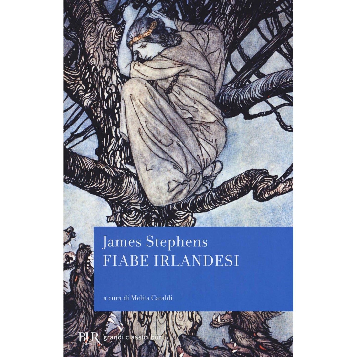 Libro - Fiabe irlandesi - Stephens, James
