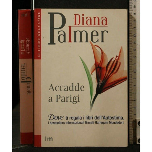 Libro - Accadde a Parigi - Palmer Diana
