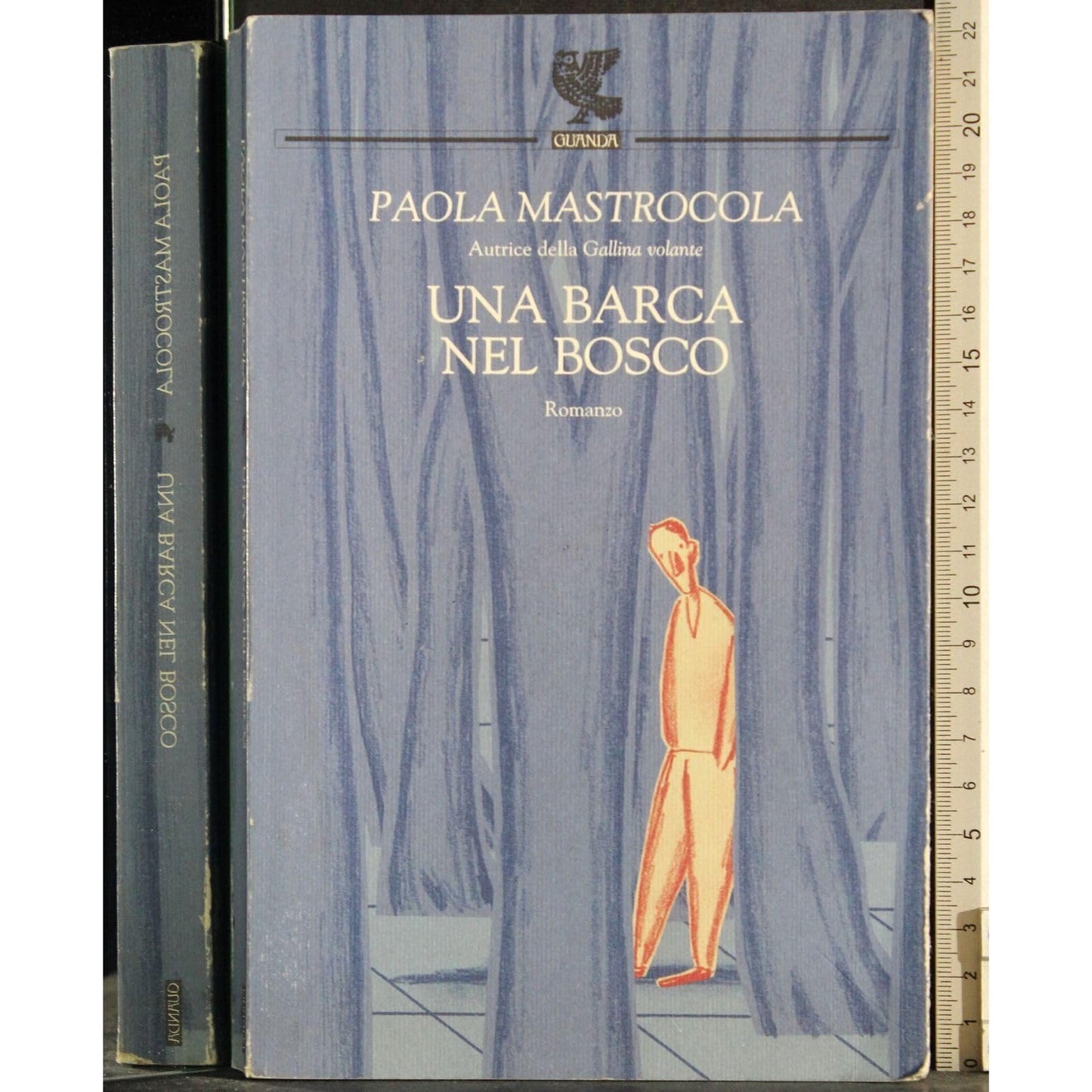Libro - Una barca nel bosco - Mastrocola, Paola