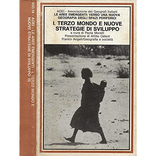 Book - Emerging areas: towards a new geography of the s - Paola Morelli, edited by