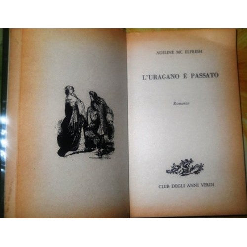 Book - THE HURRICANE HAS PASSED - Adeline Mc Elfresh