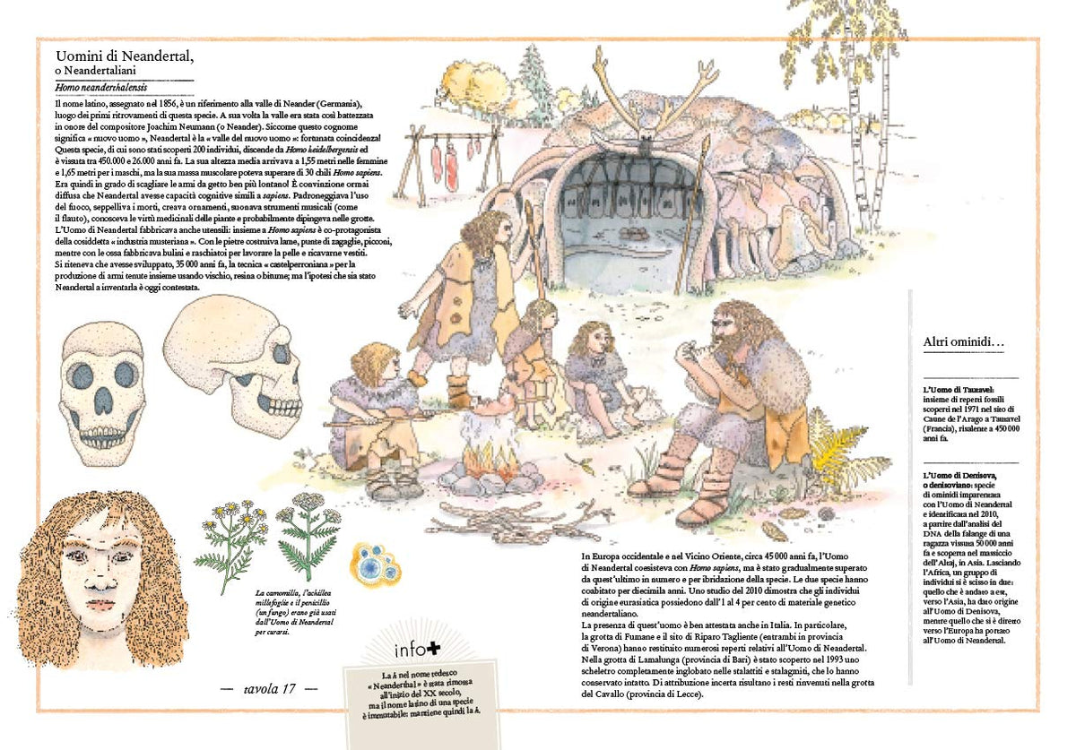 Libro - Inventario illustrato della preistoria  - Aladjidi, Virginie