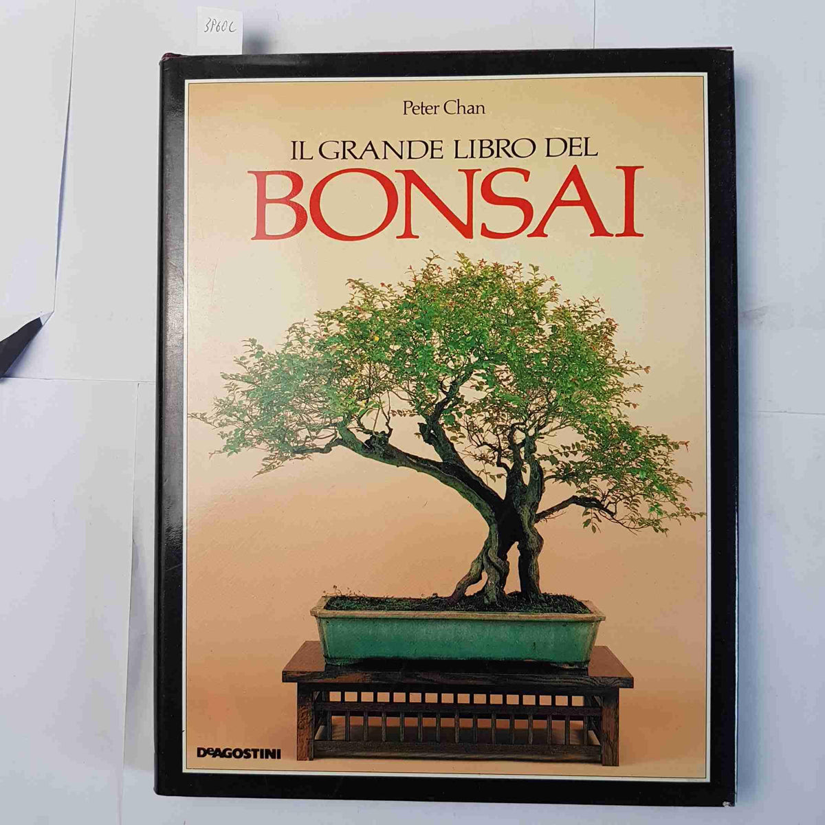 Il grande libro del bonsai